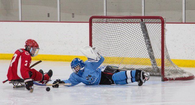 Sled Hockey
