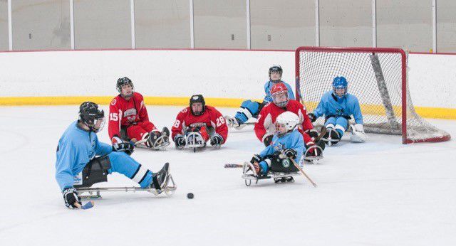 Sled Hockey